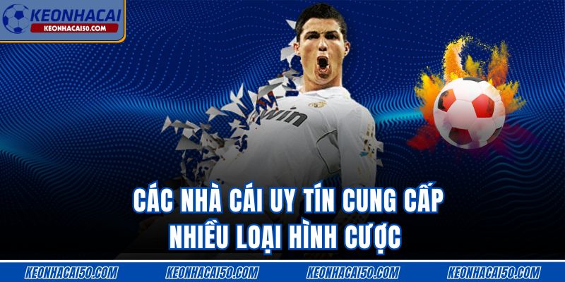 Các nhà cái uy tín cung cấp nhiều loại hình cược 