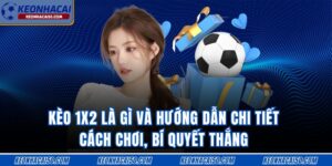 Kèo 1x2 Là Gì Và Hướng Dẫn Chi Tiết Cách Chơi