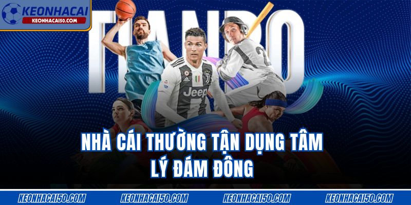 Nhà cái thường tận dụng tâm lý đám đông